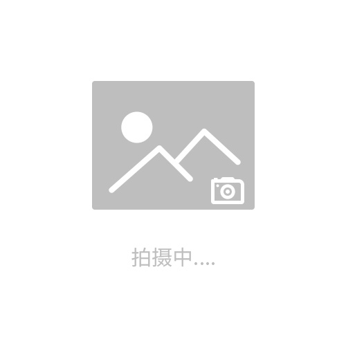 碰撞沖擊試驗(yàn)臺(tái)廠家